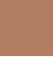 
              BLK/OPL True Color Illuminating Stick, Highlighter with Vitamin C & E, Sunrise glow
            