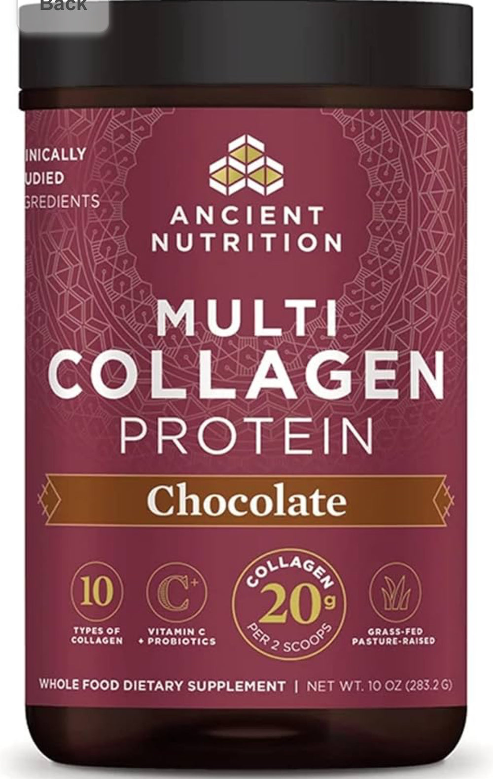 Ancient Nutrition Hydrolyzed Collagen Peptides Powder with Probiotics, Chocolate Multi Collagen Protein for Women and Men with Vitamin C, 24 Servings, Supports Skin and Nails, Gut Health, 10oz (382.2g) DLC: 06Juil26