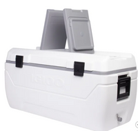 
              Igloo 165-quart Maxcold Chest Cooler with Butterfly Quick Access Hatch
            