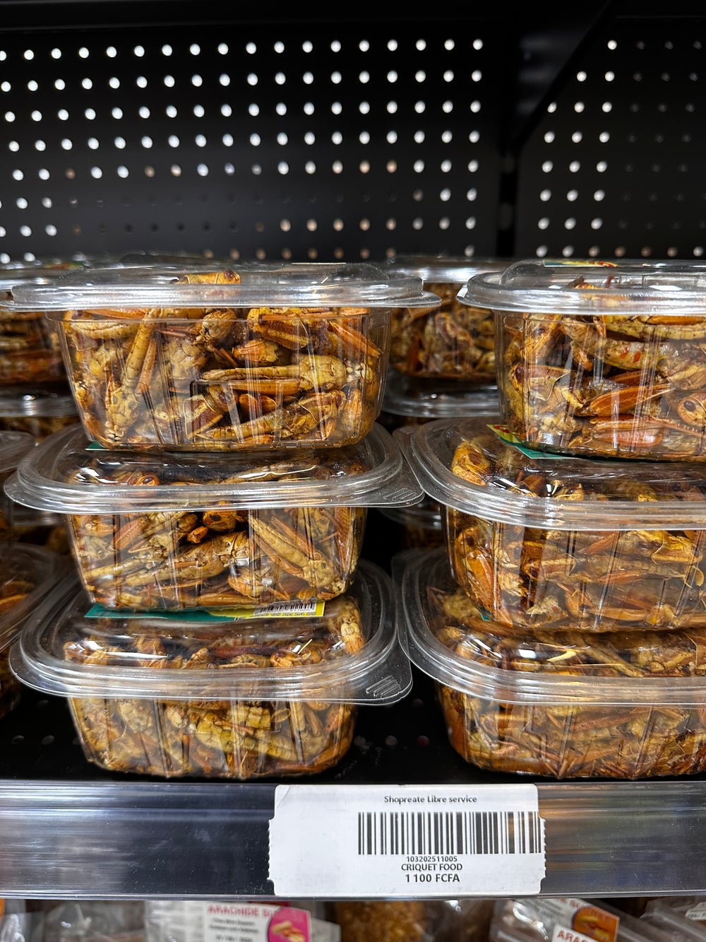 CRIQUET FOOD