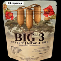 BIG 3 | Kigelia Africana | 24 Gélules | Aphrodisiac 100% Naturel