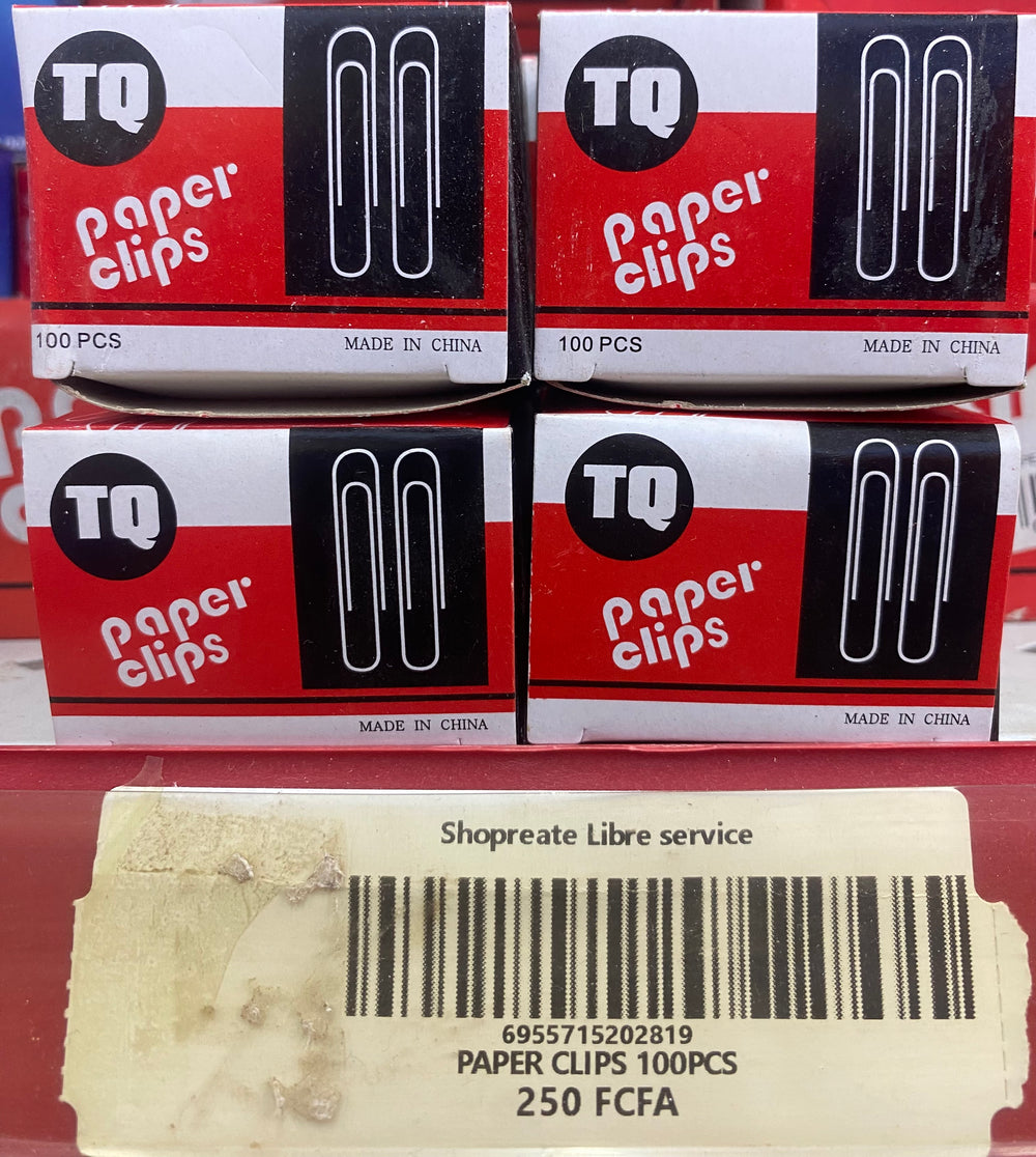 Paper Clips 100pcs