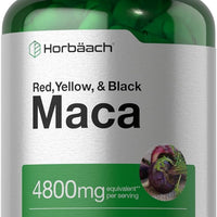 Horbäach Maca Root Capsules | 120 Pills | High Potency Extract for Men and Women | Non-GMO and Gluten Free Formula