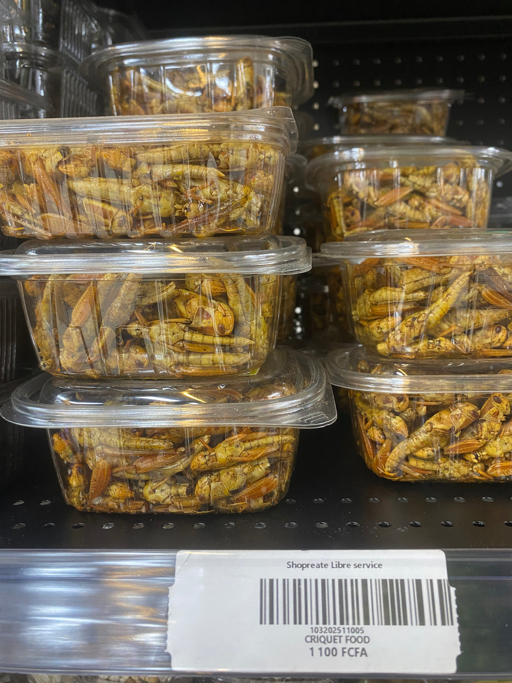 CRIQUET FOOD