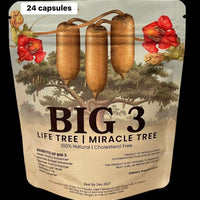 BIG 3 Kigelia Africana 24 gelules