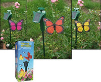 
              Set of 2 Fluttering Butterfly Garden Solar Light - Green
            