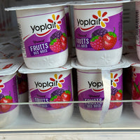 YAOURT YOPLAIT POT FRUITS DE BOIS 125G