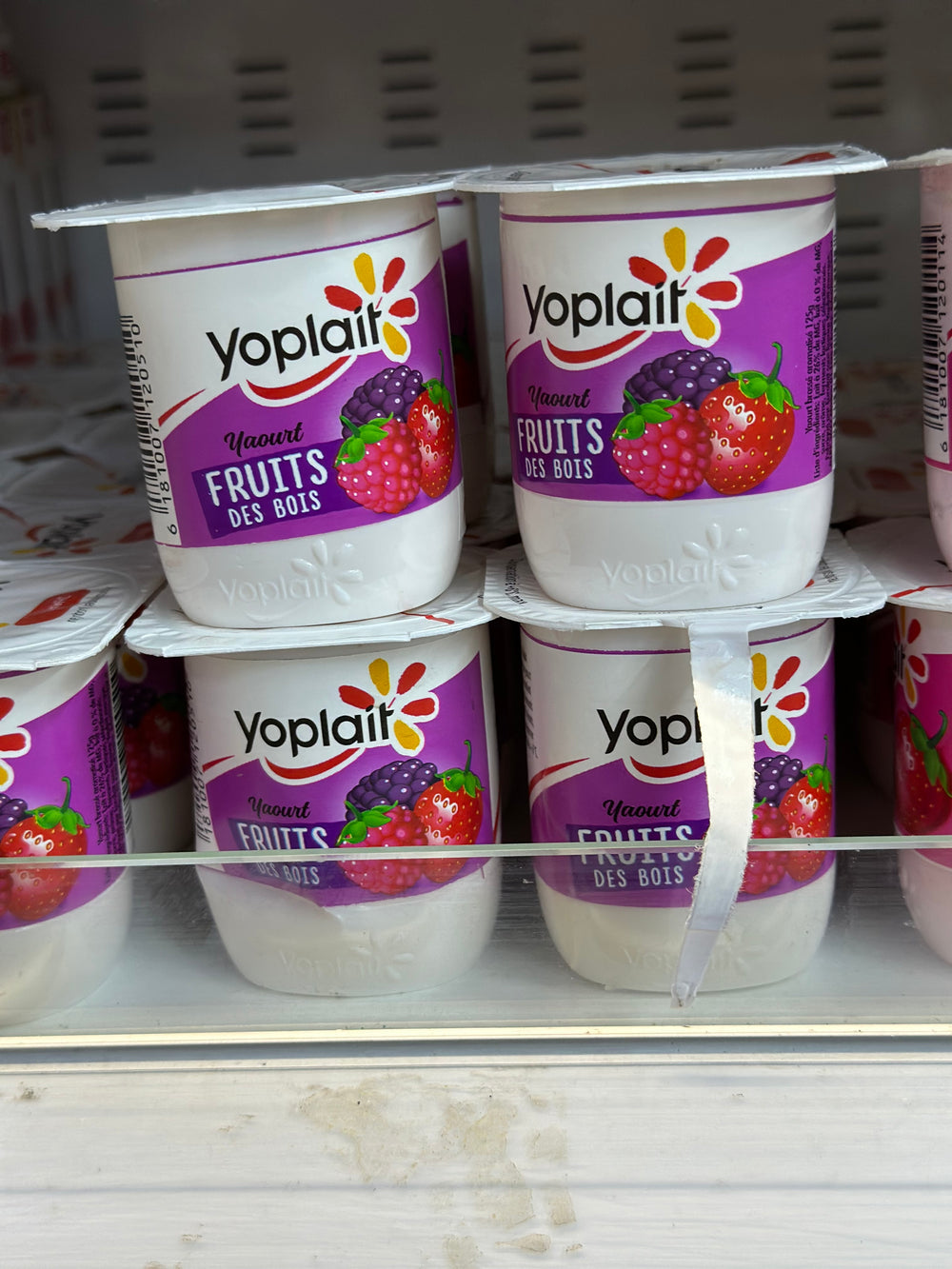 YAOURT YOPLAIT POT FRUITS DE BOIS 125G