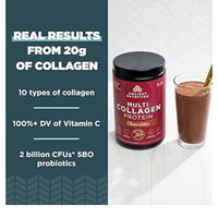 Ancient Nutrition Hydrolyzed Collagen Peptides Powder with Probiotics, Chocolate Multi Collagen Protein for Women and Men with Vitamin C, 24 Servings, Supports Skin and Nails, Gut Health, 10oz (382.2g) DLC: 06Juil26