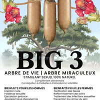 BIG 3 | Kigelia Africana | 24 Gélules | Aphrodisiac 100% Naturel