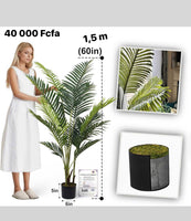 
              Aveyas 5ft Artificial Kentia Areca Palm Silk Tree in Plastic Nursery Pot, Fake Tropical Plant for Office House Living Room Home Decor (Indoor/Outdoor)
            