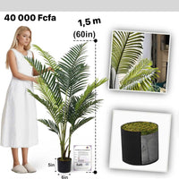 Aveyas 5ft Artificial Kentia Areca Palm Silk Tree in Plastic Nursery Pot, Fake Tropical Plant for Office House Living Room Home Decor (Indoor/Outdoor)