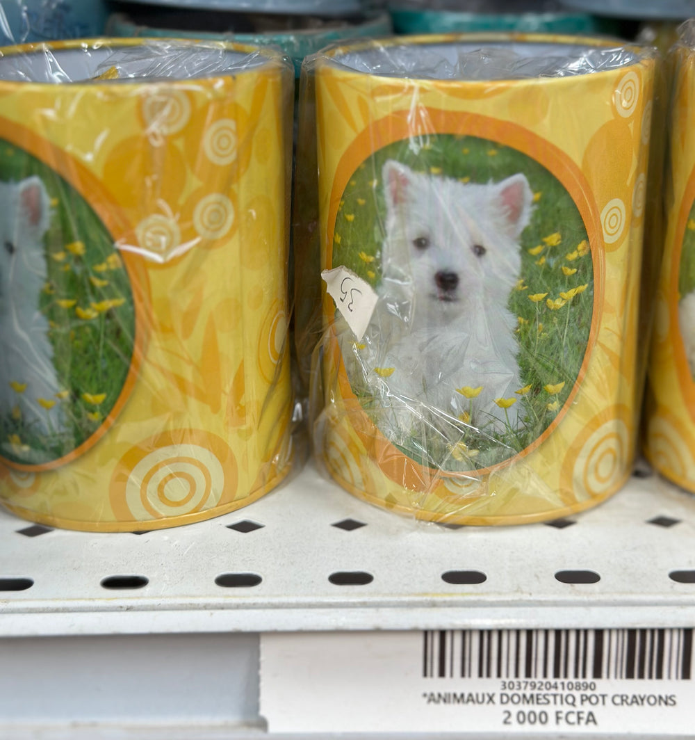 ANIMAUX DOMESTIQUE POT CRAYONS