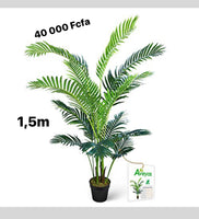 
              Aveyas 5ft Artificial Kentia Areca Palm Silk Tree in Plastic Nursery Pot, Fake Tropical Plant for Office House Living Room Home Decor (Indoor/Outdoor)
            