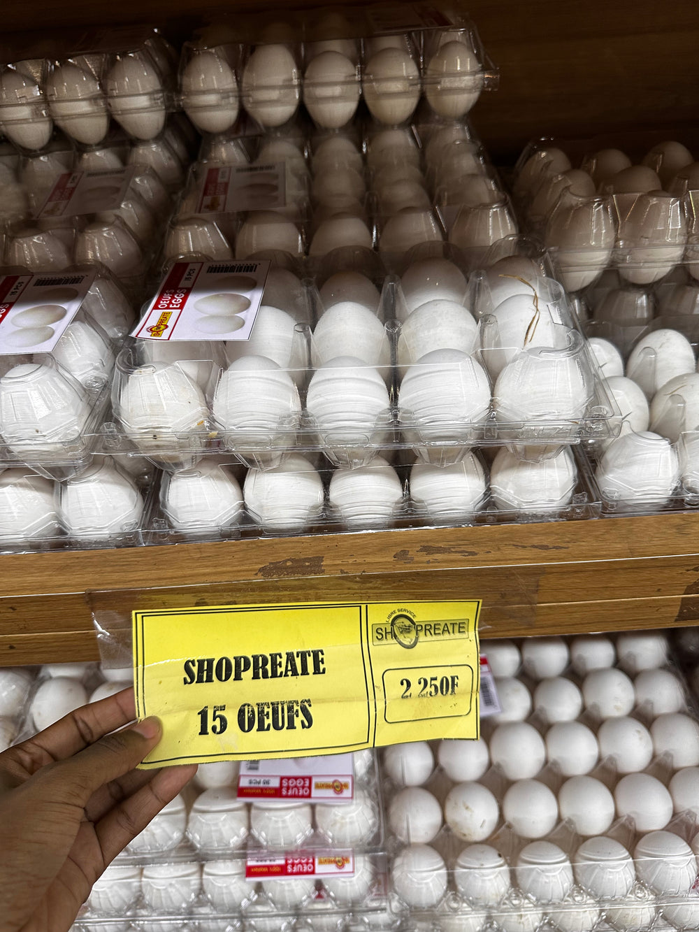 15 OEUFS
