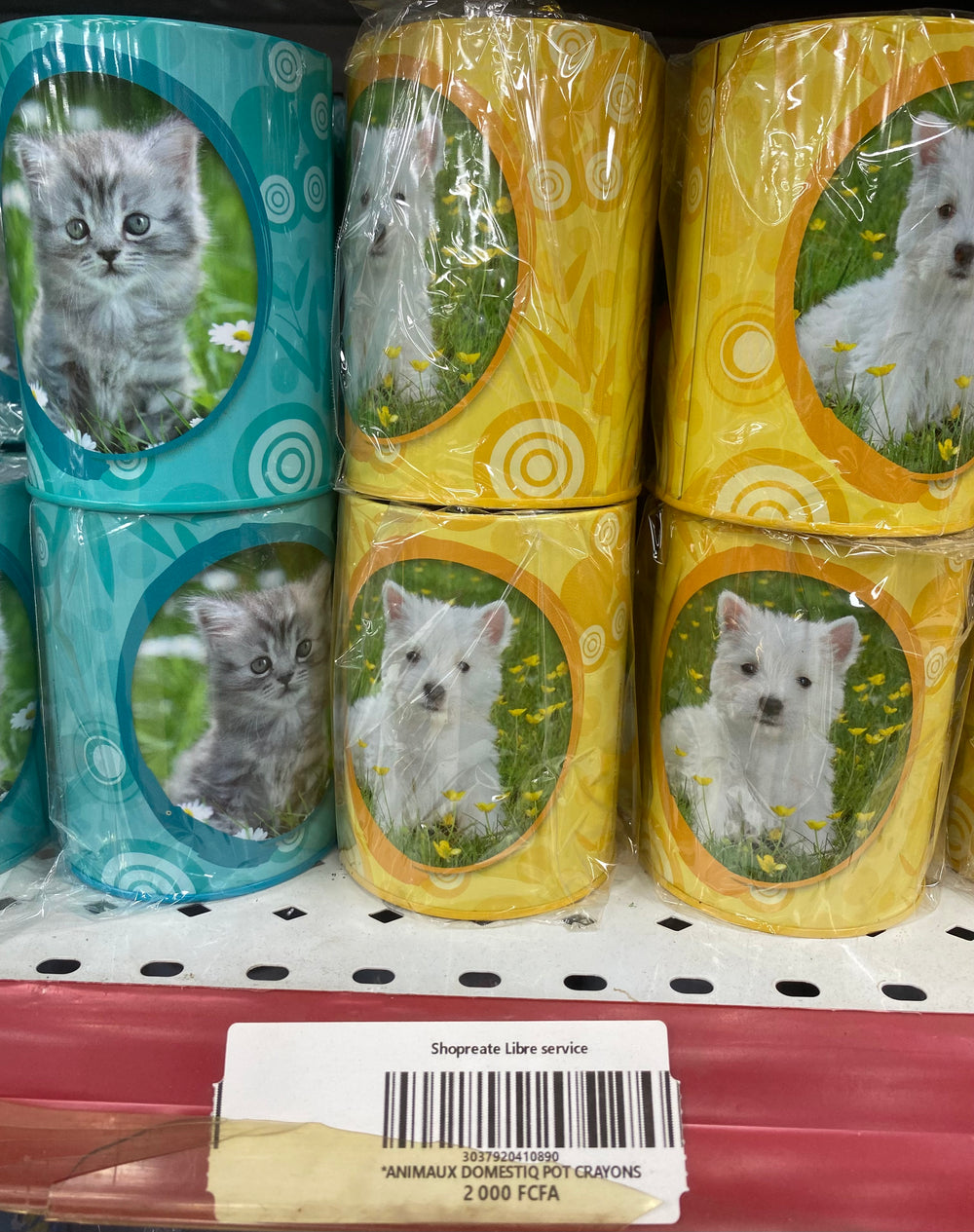 ANIMAUX DOMESTIQ POT CRAYON