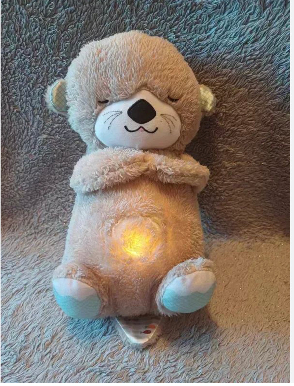 Ma Loutre Câlins Bonne Nuit de Fisher-Price