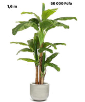 
              Nearly Natural 4ft. Double Stalk Banana Artificial Tree
            
