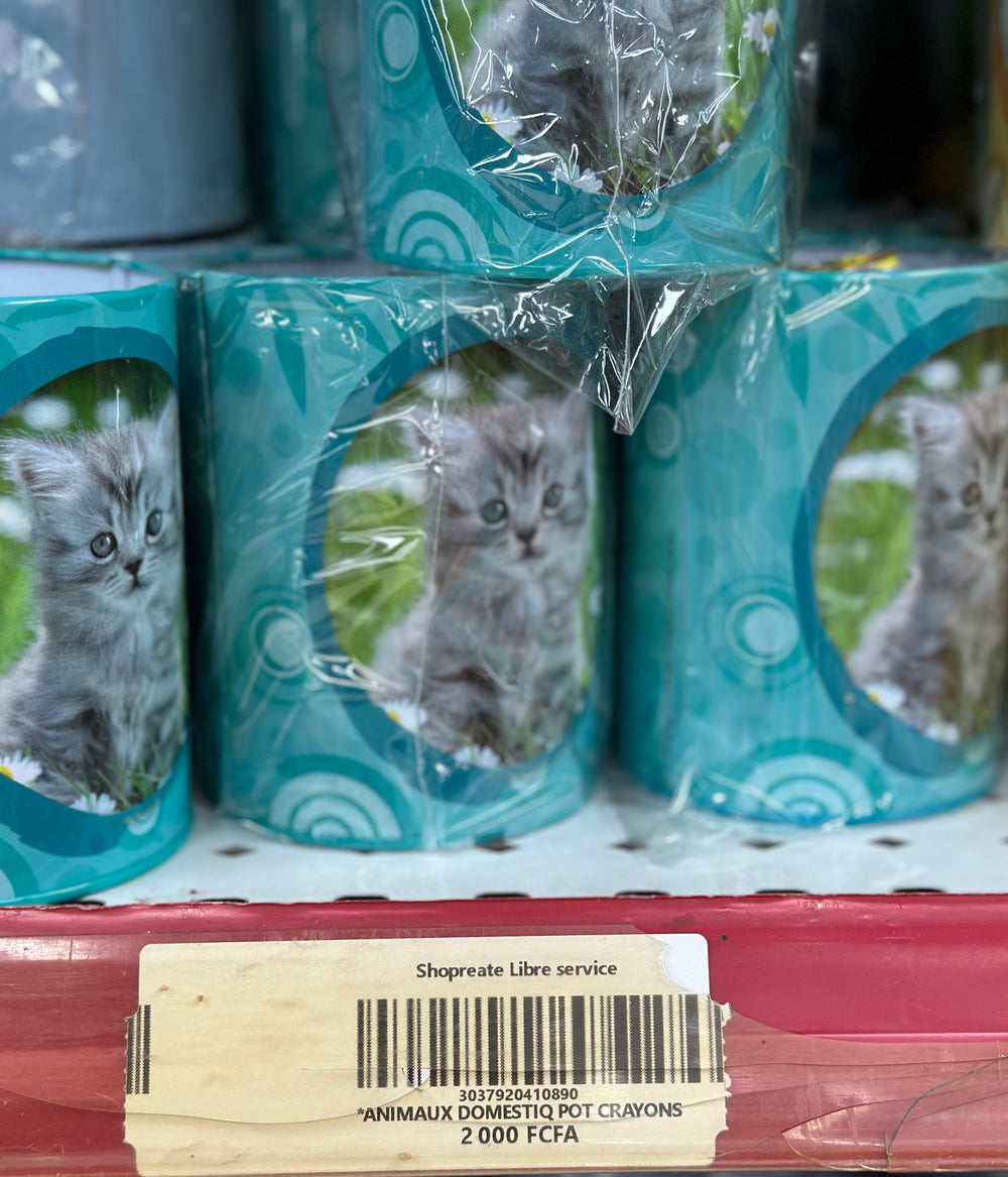 ANIMAUX DOMESTIQUE POT CRAYONS
