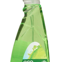 Nettoyant Vitre CARREFOUR ECO PLANET (750mL)