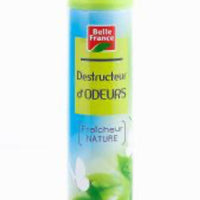 Destructeur d’ODEURS 300ml