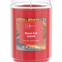 Mainstays Warm Fall Leaves Single-Wick Glass Jar Candle, 20 oz