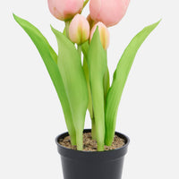 Tulipes artificielles en pot Home Accents