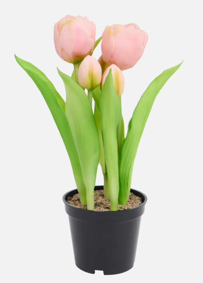 Tulipes artificielles en pot Home Accents
