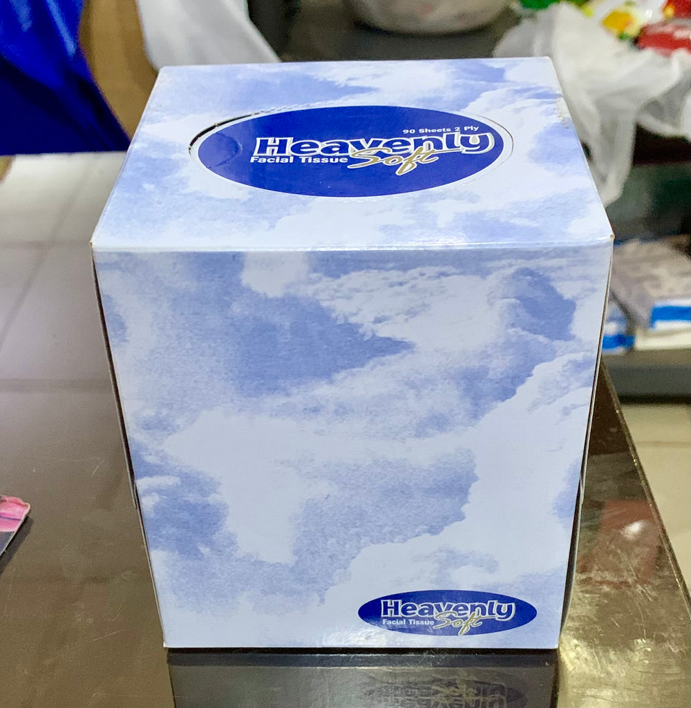 Facial Tissue 90 Sheets Cube Box