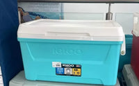 
              Cava Igloo 45lts 48 Qt
            
