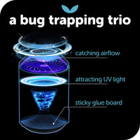 
              Piège à insectes et insectes volants KATCHY pour l'intérieur, tue les moustiques et les mouches et les insectes de fruits, avec lumière ultraviolette, ventilateur, surface collante, ce n'est pas un appareil qui extermine électrique, couleur blanche
            