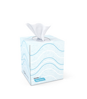 
              Facial Tissue 90 Sheets Cube Box
            