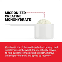 
              Créatine Monohydrate, Poudre de Créatine pour le Gain Musculaire, Plus de Force et une Récupération d'Entraînement Plus Rapide, Créatine Micronisée Cliniquement Étudiée, Dose de 5 g par Portion, Sans Saveur, 60 Portions-DL:08/2026
            