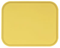 
              PLATEAU POLY-STR STANDARD 46cm x 36cm
            