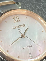 
              Citizen Eco-Drive Silhouette Crystal Two-Tone Stainless Steel Ladies Watch
            