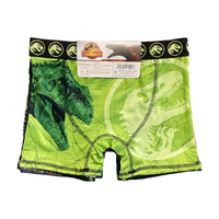 Licensed Boy's Boxer Brief, 4 Pack Size 10/XL