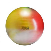 Gymnic Gymnic Arte Exercise Ball Plus Multi ONE SIZE