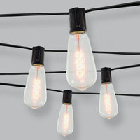 10ct Spiral Filament Outdoor String Lights Black Wire - Threshold™