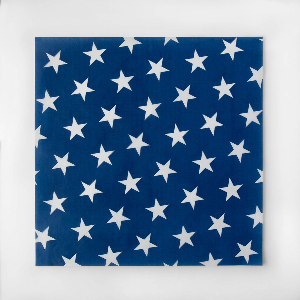 12pk Americana Star Print Food Basket Liner Blue/White - Sun Squad™