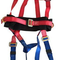 Full Body Harness With Back Support