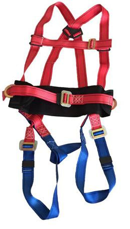 Full Body Harness With Back Support