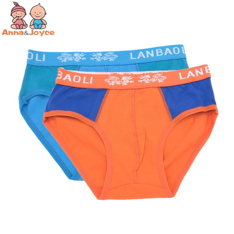 2pcs/lot Boy briefs kids underwear - Slip garcon
