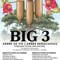 BIG 3 Life Tree 100% Natural- Capsules 12pcs