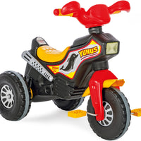 Flipper Tricycle Pilsan