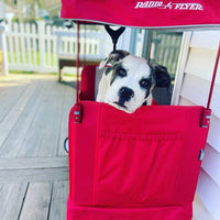 Radio Flyer 3 in 1 EZ Fold Wagon with Canopy - Red (1+ years)