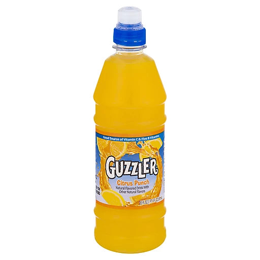 Guzzler® Citrus Punch Fruit Drink 20 fl. oz. Bottle DLC: 24-FEV24