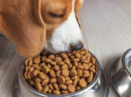 Pedigree Details Adult Complete Nutrition Dry Dog Food (5Kg) DLC: 10-SEP-22