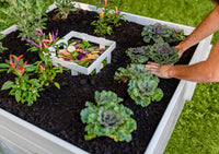 
              Lit de jardin à compostage Vita Keyhole 122 cm x 122 cm x 56 cm)
            