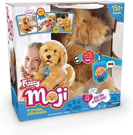 SkyRocket  Moji the Lovable Labradoodle