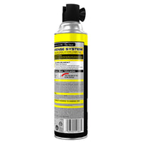 
              Raid Wasp and Hornet Killer, 17.5-Ounce 496g
            